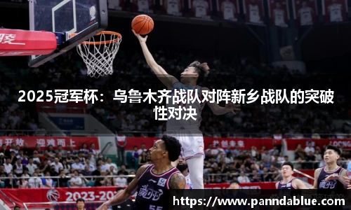 2025冠军杯:乌鲁木齐战队对阵新乡战队的突破性对决